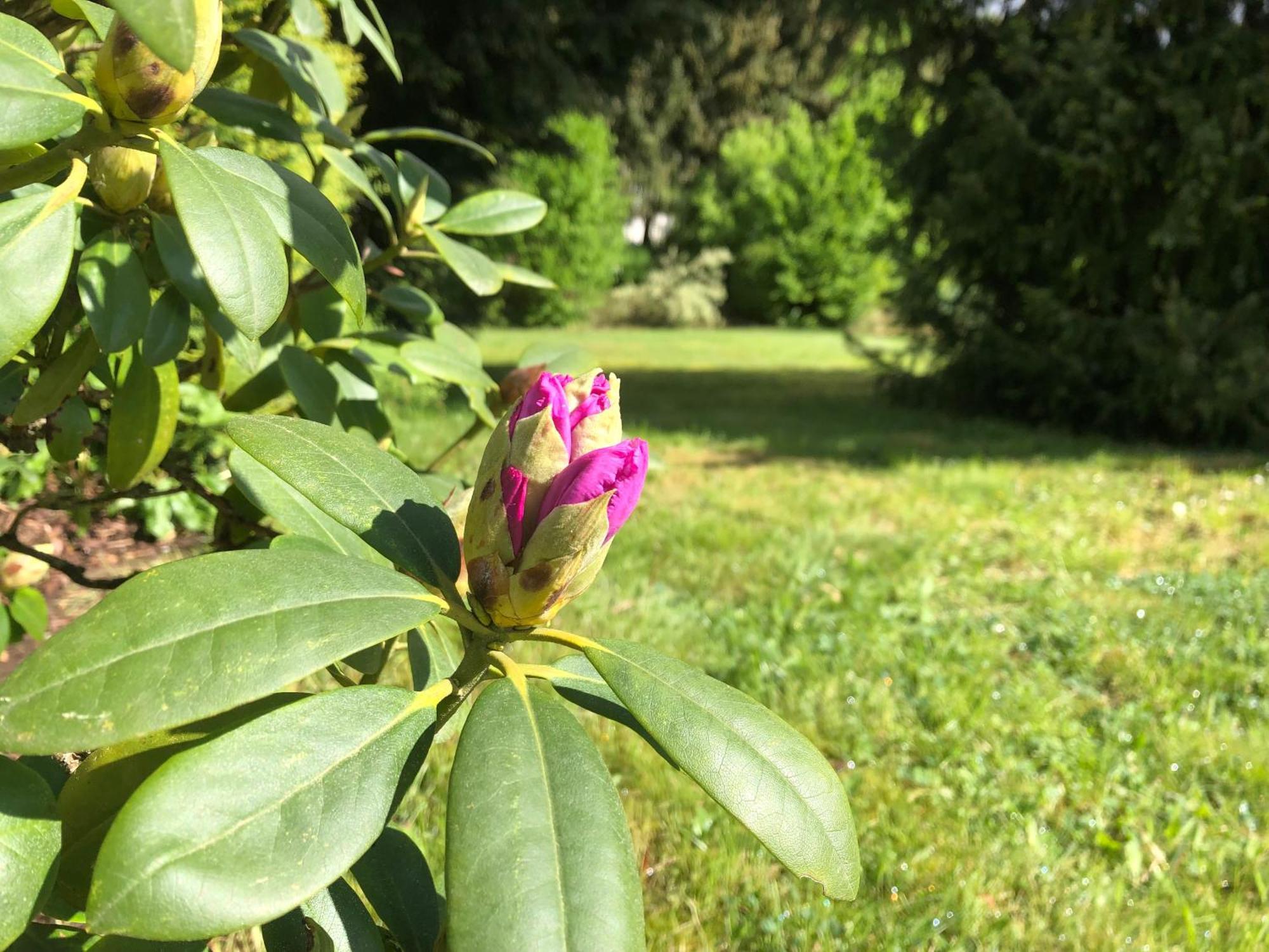 Idas Garten Bad Lauterberg Luaran gambar